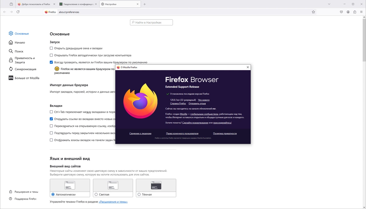 Стабильный браузер Firefox Browser ESR 128.8.1 — изображение 1