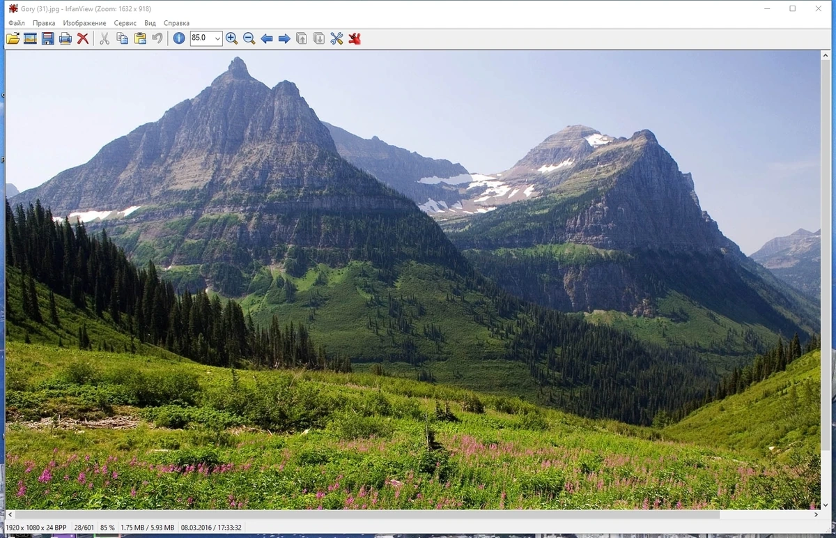 Мультиформатный просмотрщик картинок - IrfanView 4.65 Repack + Portable by KpoJIuK — изображение 1