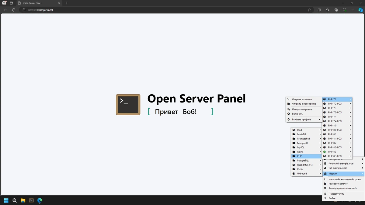 Набор серверного ПО Open Server 6.0.0 — изображение 1