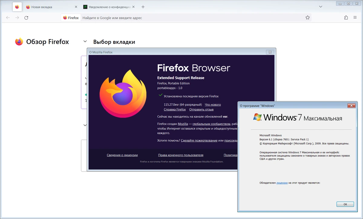 Браузер для Windows 8 Firefox Browser ESR 115.27.0 by PortableApps — изображение 1
