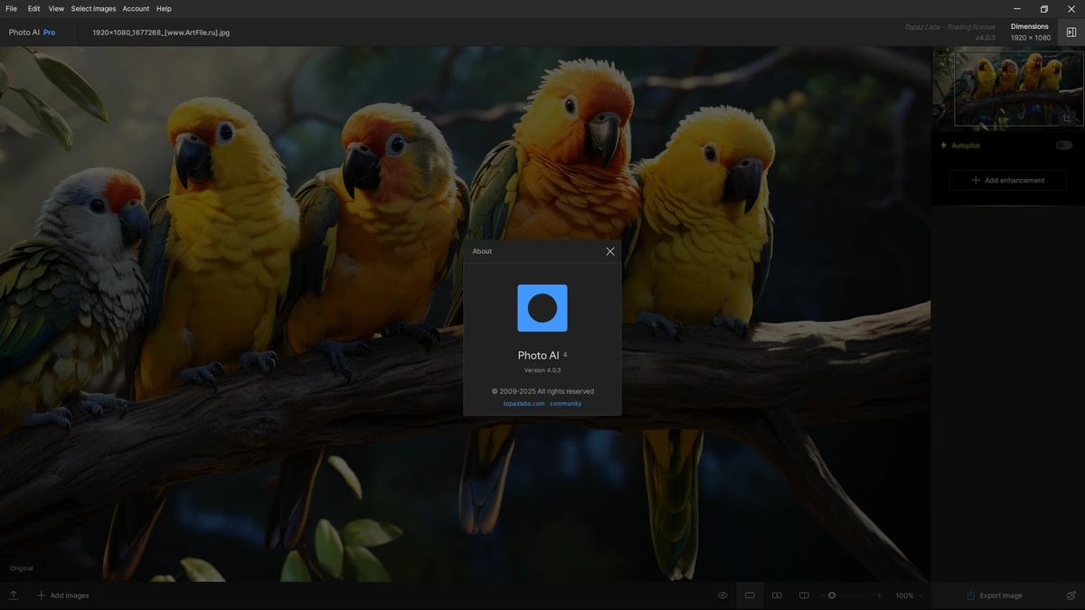 Topaz Photo AI Pro 4.0.3 by 7997 + Models — изображение 1