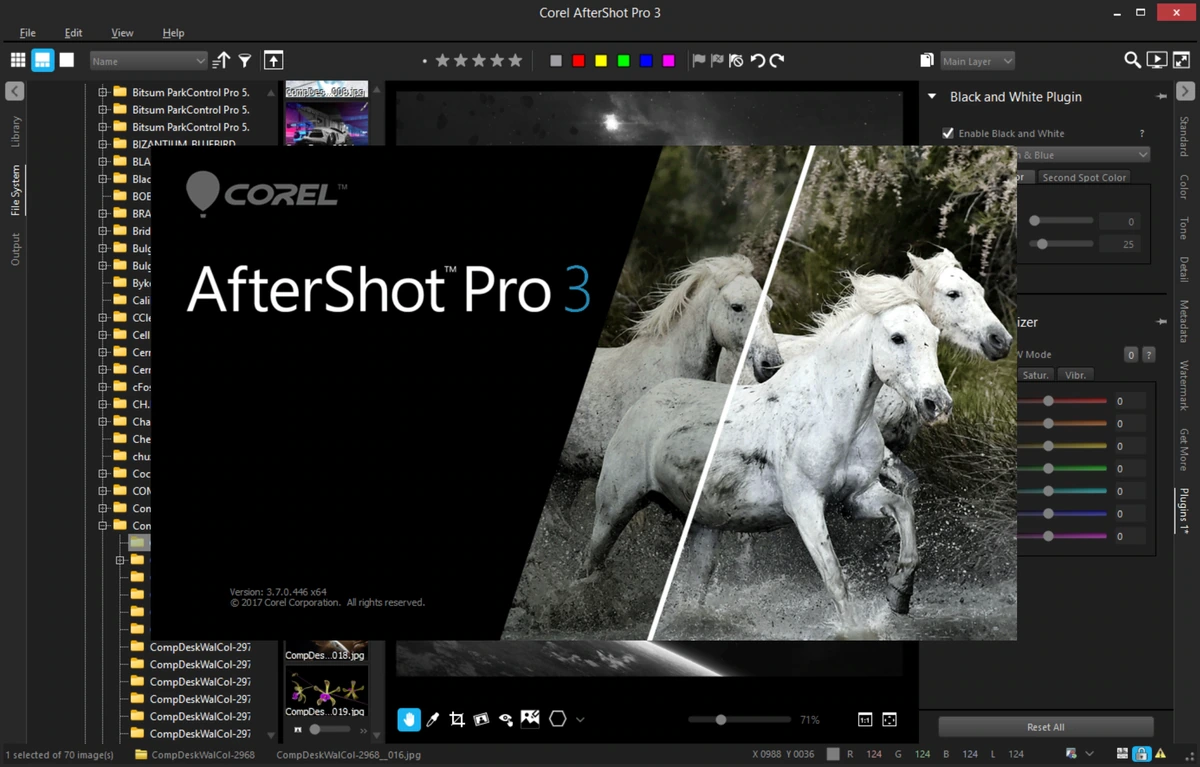 Обработка фото Corel AfterShot Pro 3.7.0.446 by 7997 — изображение 1
