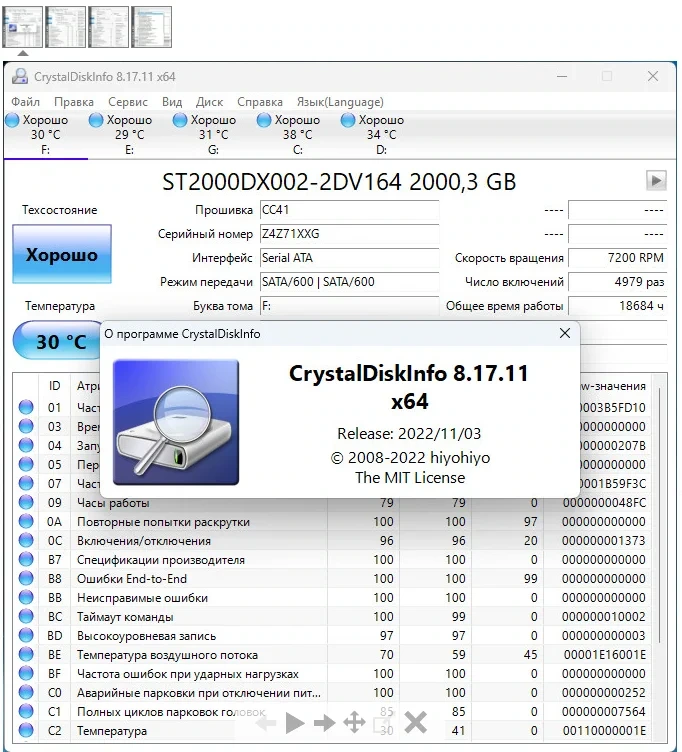 Оценка состояния жестких дисков - CrystalDiskInfo 8.17.11 + Portable — изображение 1