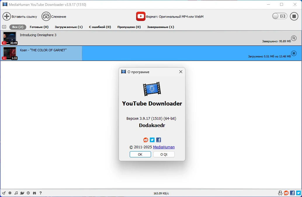Одновременная загрузка нескольких видеофайлов MediaHuman YouTube Downloader 3.9.17 (1510) by Dodakaedr — изображение 1