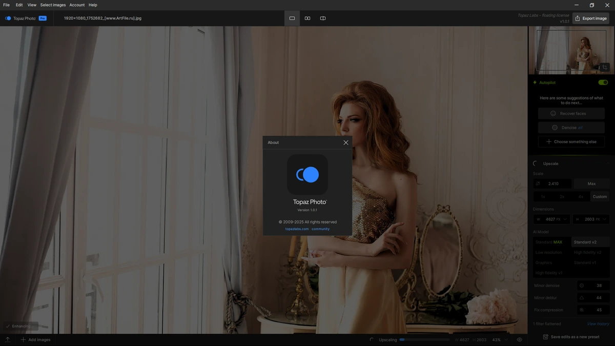 Оптимизация качества фото Topaz Photo 1.0.1 by KpoJIuK — изображение 1