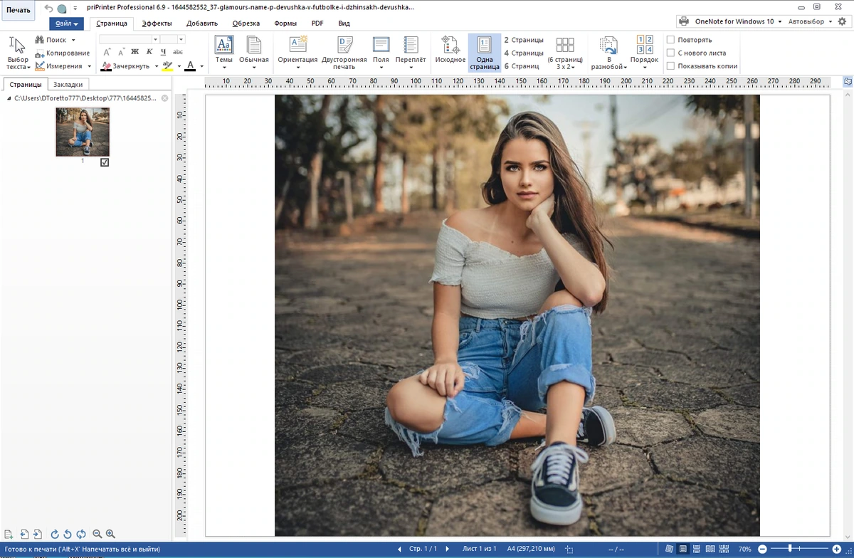 Печать документов в графические файлы priPrinter Professional 6.9.0.2541 by KpoJIuK — изображение 1