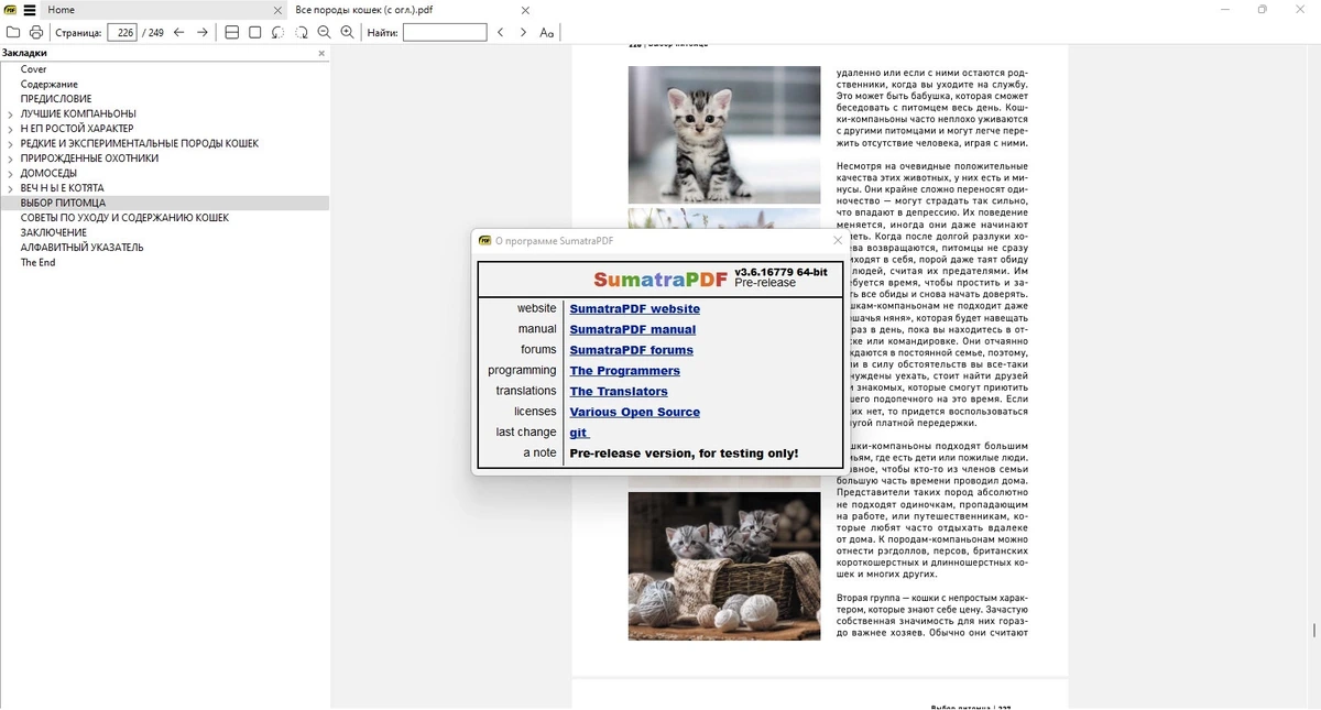 Печать и просмотр документов - Sumatra PDF 3.6.16779 Prerelease + Portable — изображение 1