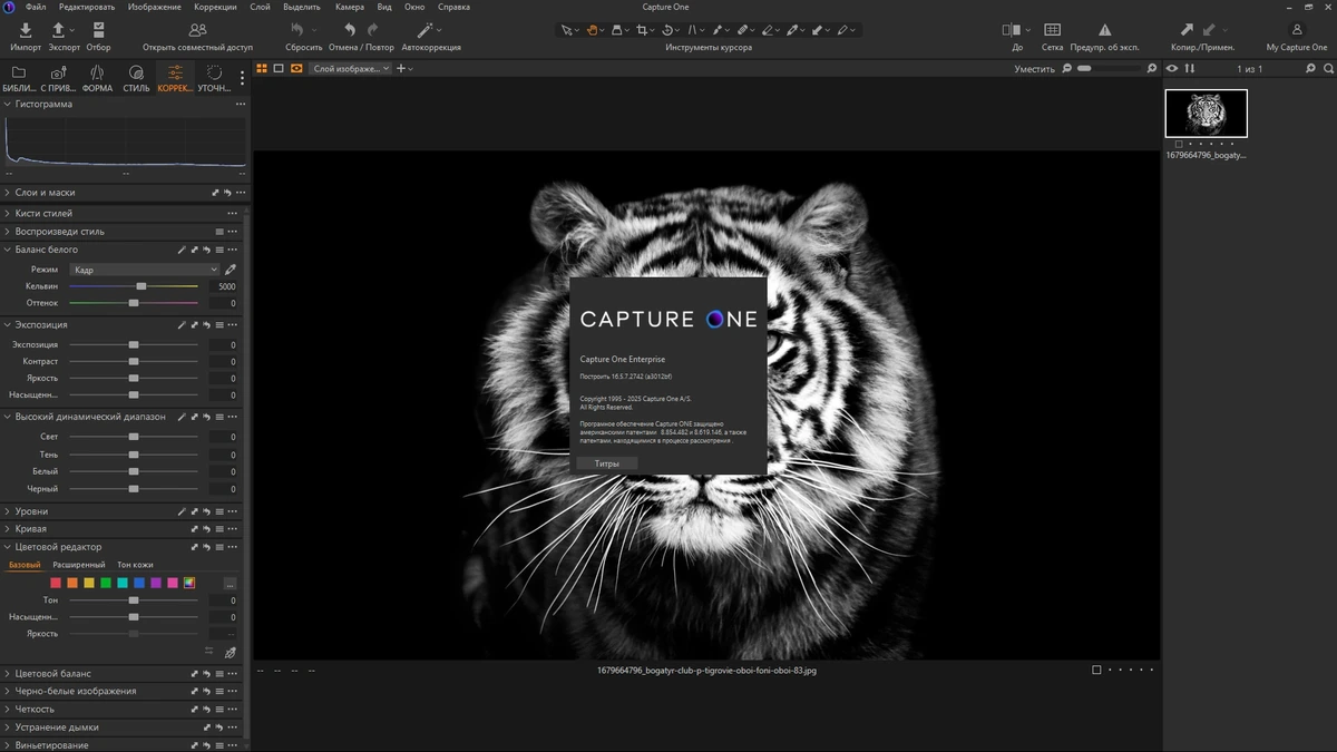 Capture One конвертер фото 23 Enterprise 16.5.7.2742 by KpoJIuK — изображение 1