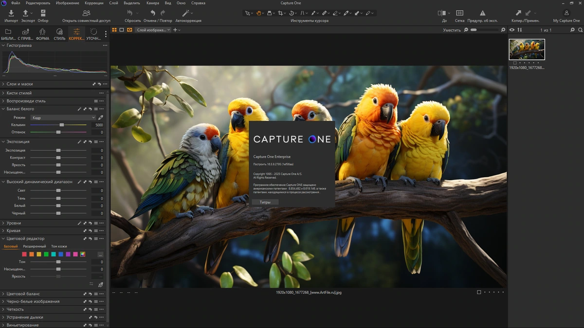 RAW конвертер Capture One 23 Enterprise 16.5.9.2795 by KpoJIuK — изображение 1