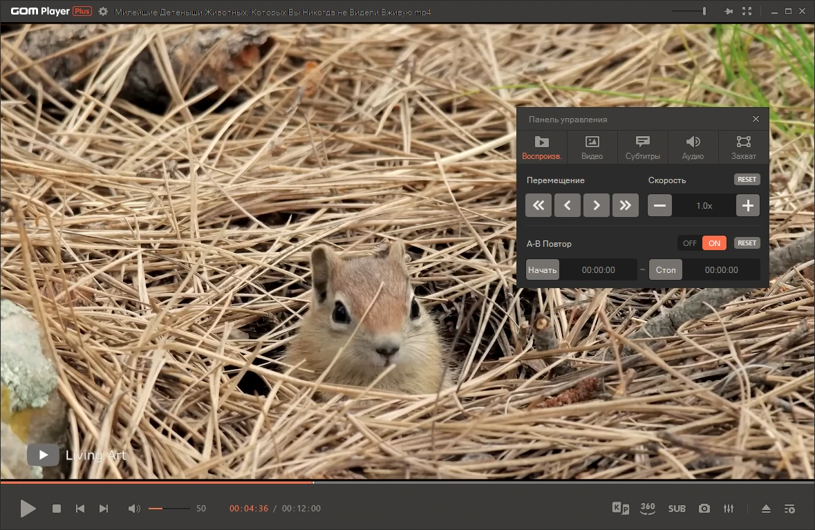 Плеер для видео GOM Player Plus 2.3.88.5358 by Dodakaedr — изображение 1
