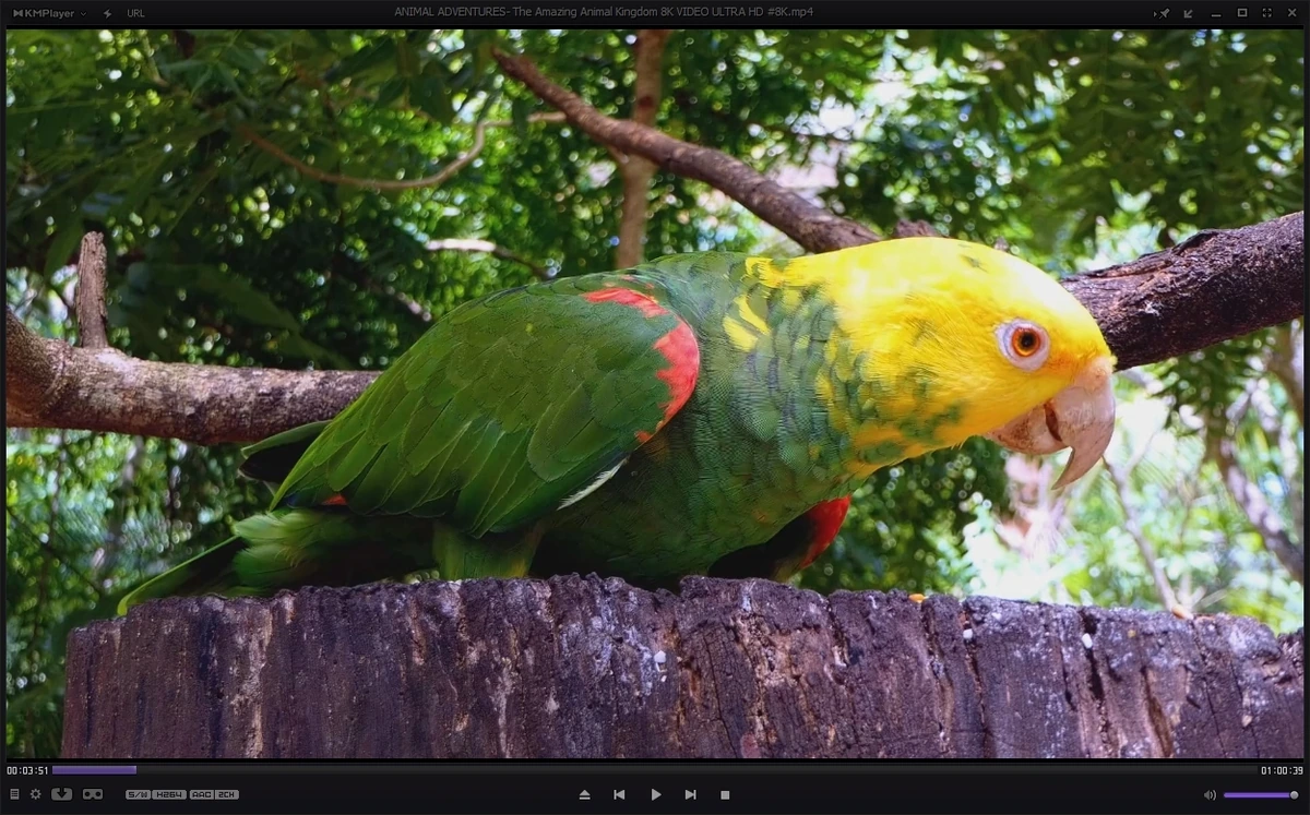 Плеер для Windows - KMPlayer 4.2.3.11 Plus (x86) Portable by 7997 — изображение 1