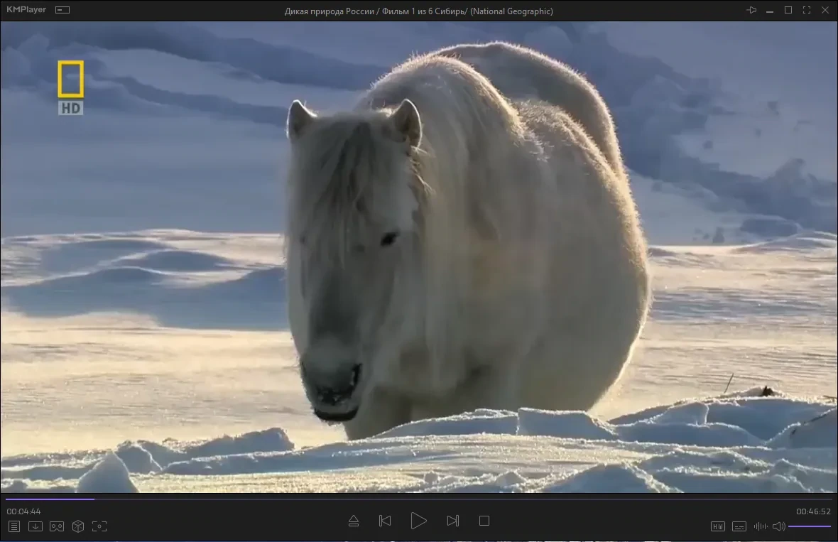 Плеер для Windows - KMPlayer 2024.1.25.16 (x64) Portable by 7997 — изображение 1