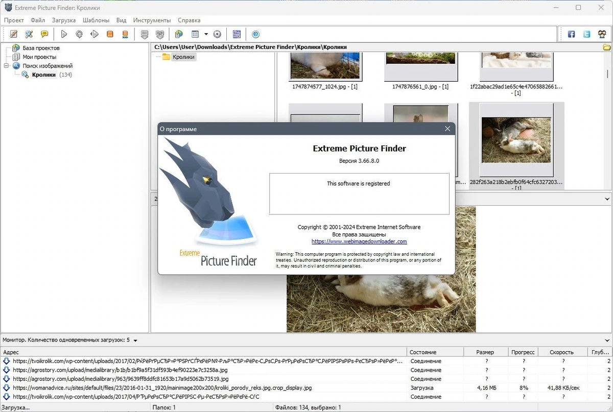 Поиск и загрузка нужных файлов - Extreme Picture Finder 3.66.8.0 Полная + Портативная версии by TryRooM — изображение 1