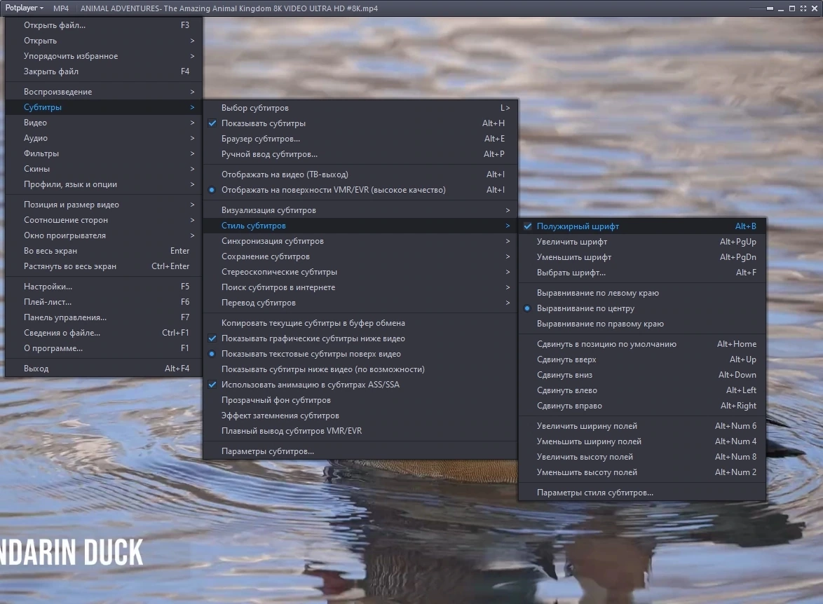 Портативная версия популярного плеера - PotPlayer 240305 (1.7.22124) Portable by 7997 — изображение 2