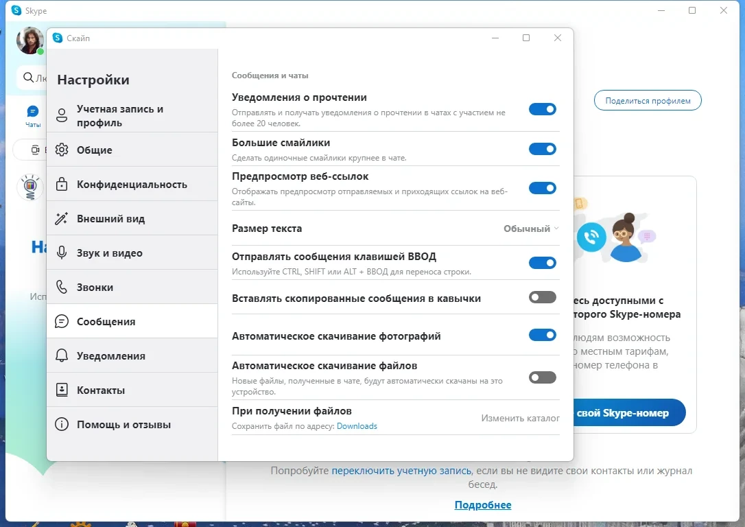 Портативный скайп Skype 8.97.0.404 by elchupacabra — изображение 2