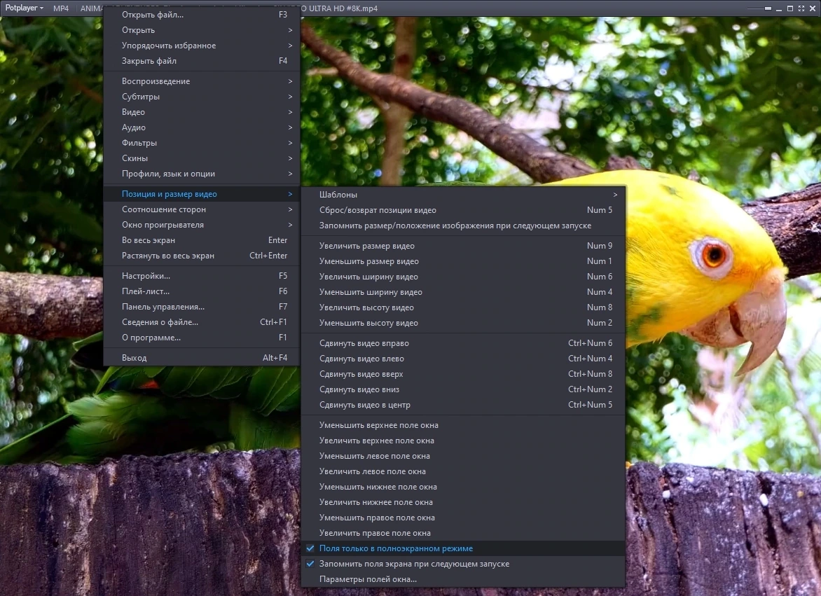 PotPlayer 240510 (1.7.22227) Portable by 7997 — изображение 2