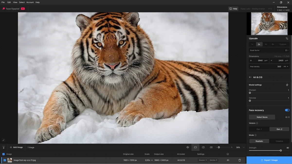Программный фотоувеличитель Topaz Gigapixel 1.1.1 by KpoJIuK — изображение 2