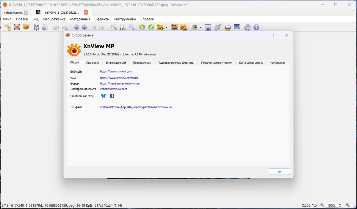 Просмотр и конвертирование изображений XnView MP 1.10.1 + Portable — изображение 2