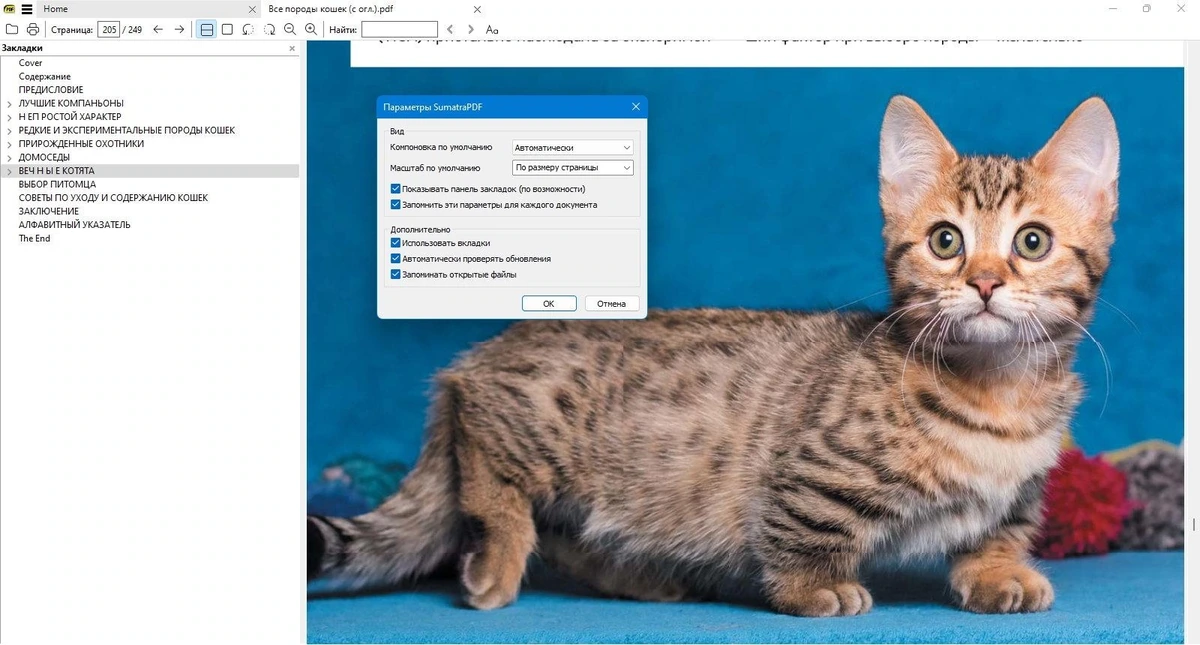 Просмотр и печать PDF, DjVu, FB2, ePub, MOBI, CHM, XPS, CBR/CBZ документов - Sumatra PDF 3.6.15983 Prerelease + Portable — изображение 2