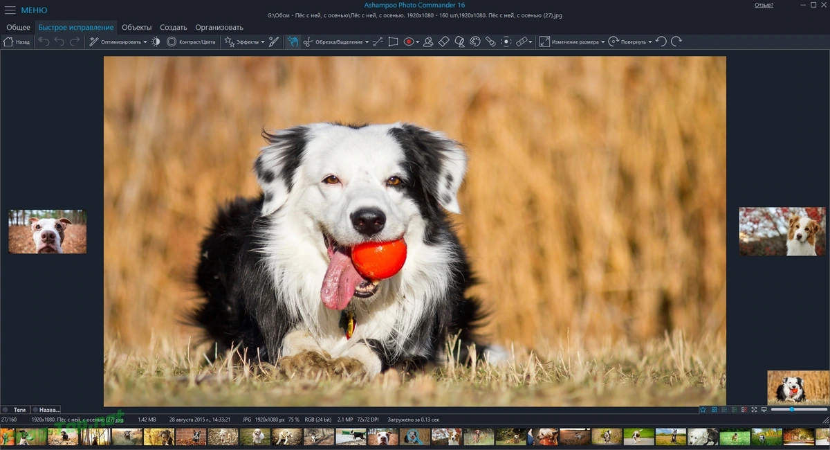 Просмотр и редактирование фото - Ashampoo Photo Commander 16.2.0 RePack (& Portable) by TryRooM — изображение 2
