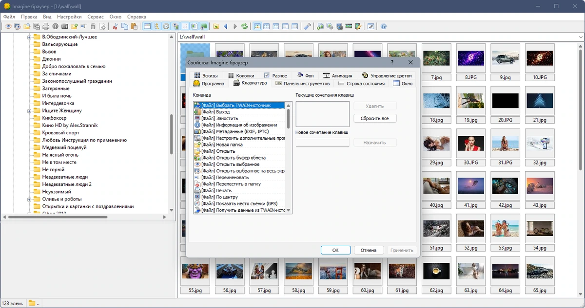 Просмотрщик изображений Imagine 2.3.0 + Portable — изображение 2