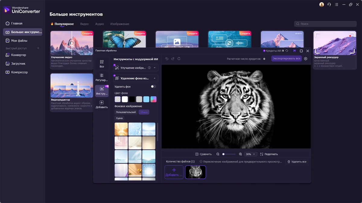 Простой видеоконвертер Wondershare UniConverter 16.5.9.323 by elchupacabra — изображение 2