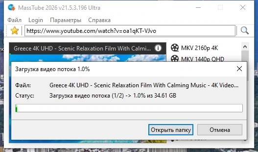 Простой загрузчик видео с Ютуба MassTube Ultra 21.5.3.196 by elchupacabra — изображение 2