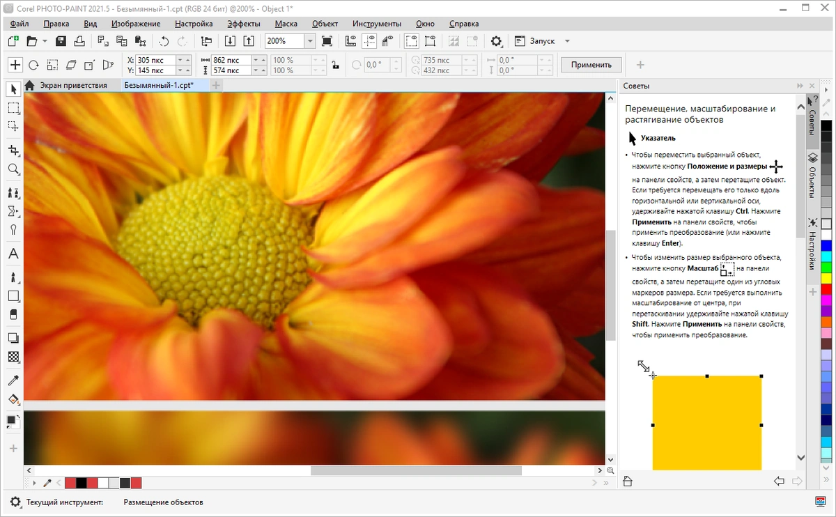 Разработка веб сайтов - CorelDRAW Graphics Suite 2021 23.5.0.506 Full / Lite RePack by KpoJIuK — изображение 2