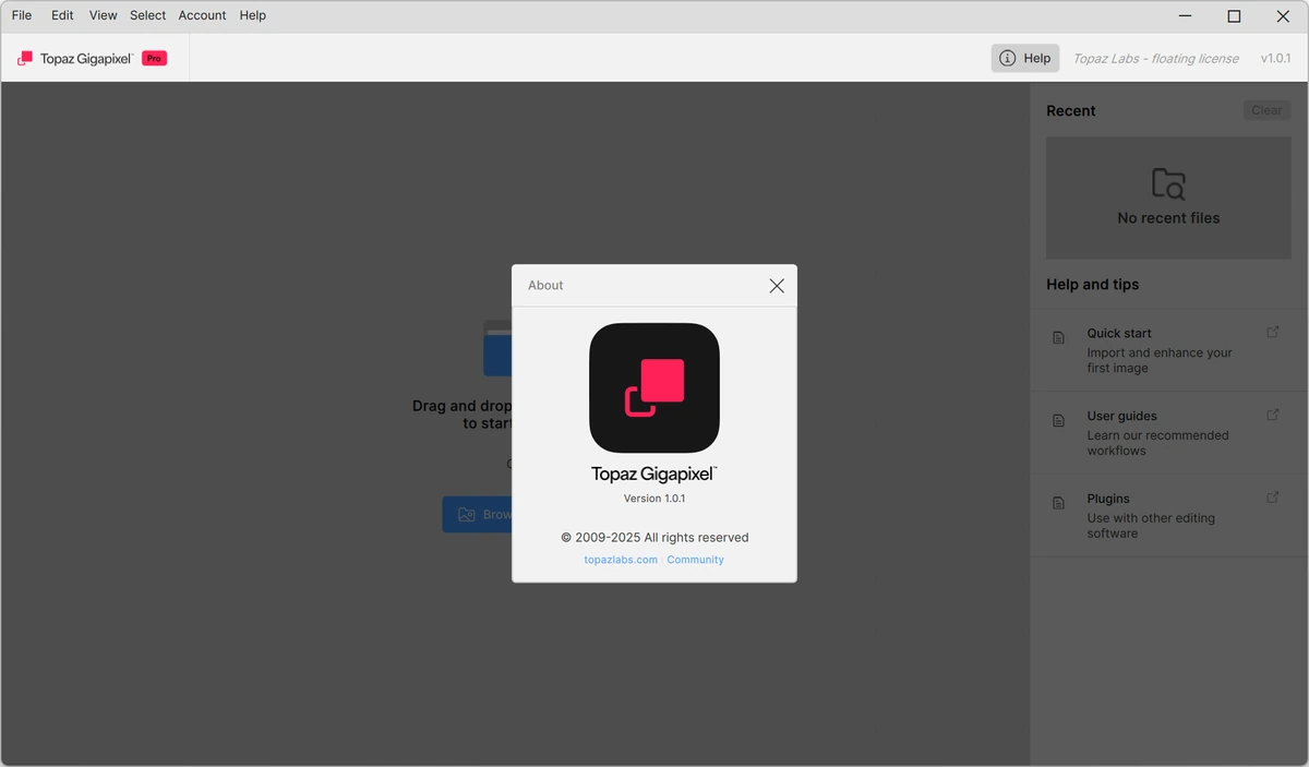 Реалистичное увеличение изображений Topaz Gigapixel 1.0.1 — изображение 2
