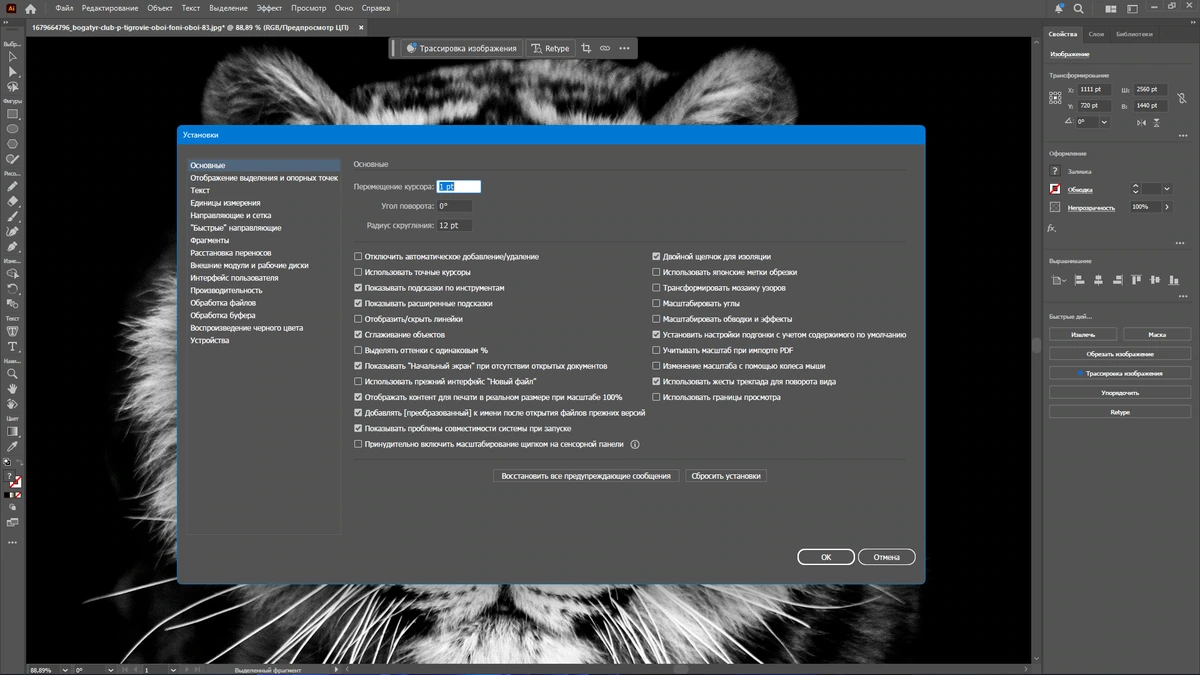 Редактор графики для дизайнеров Adobe Illustrator 2025 29.5.0.137 by KpoJIuK — изображение 2