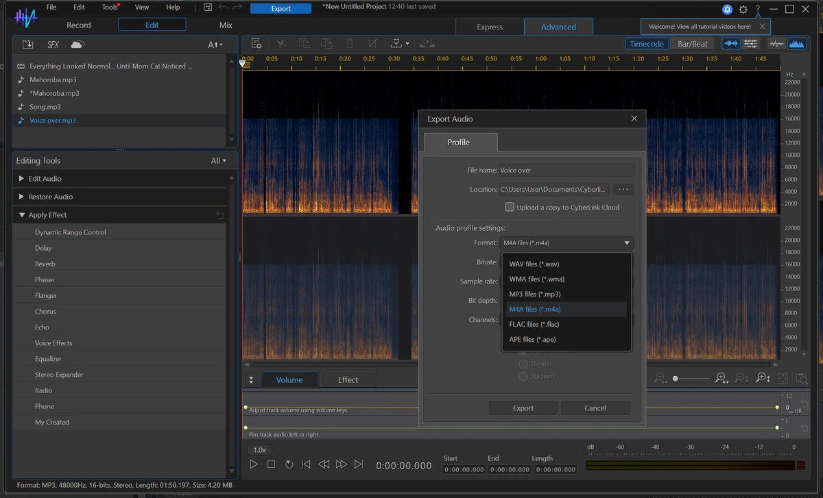 Редактор многоканального звука CyberLink AudioDirector Ultra 2026 16.5.6525.0 — изображение 2