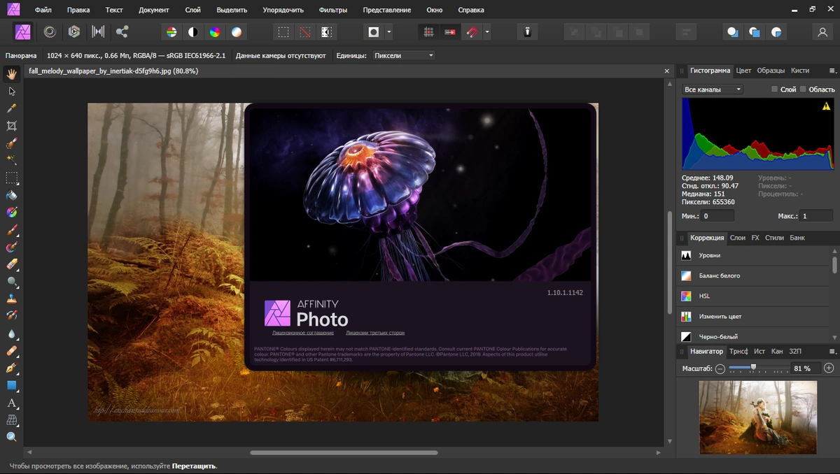 Serif Affinity Photo 1.10.1.1142 + Content RePack by KpoJIuK — изображение 2