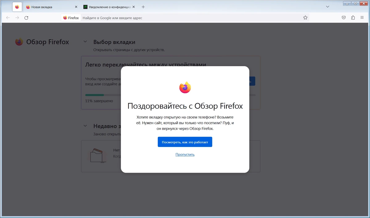 Браузер для слабых ПК Firefox Browser ESR 115.20.0 by PortableApps — изображение 2