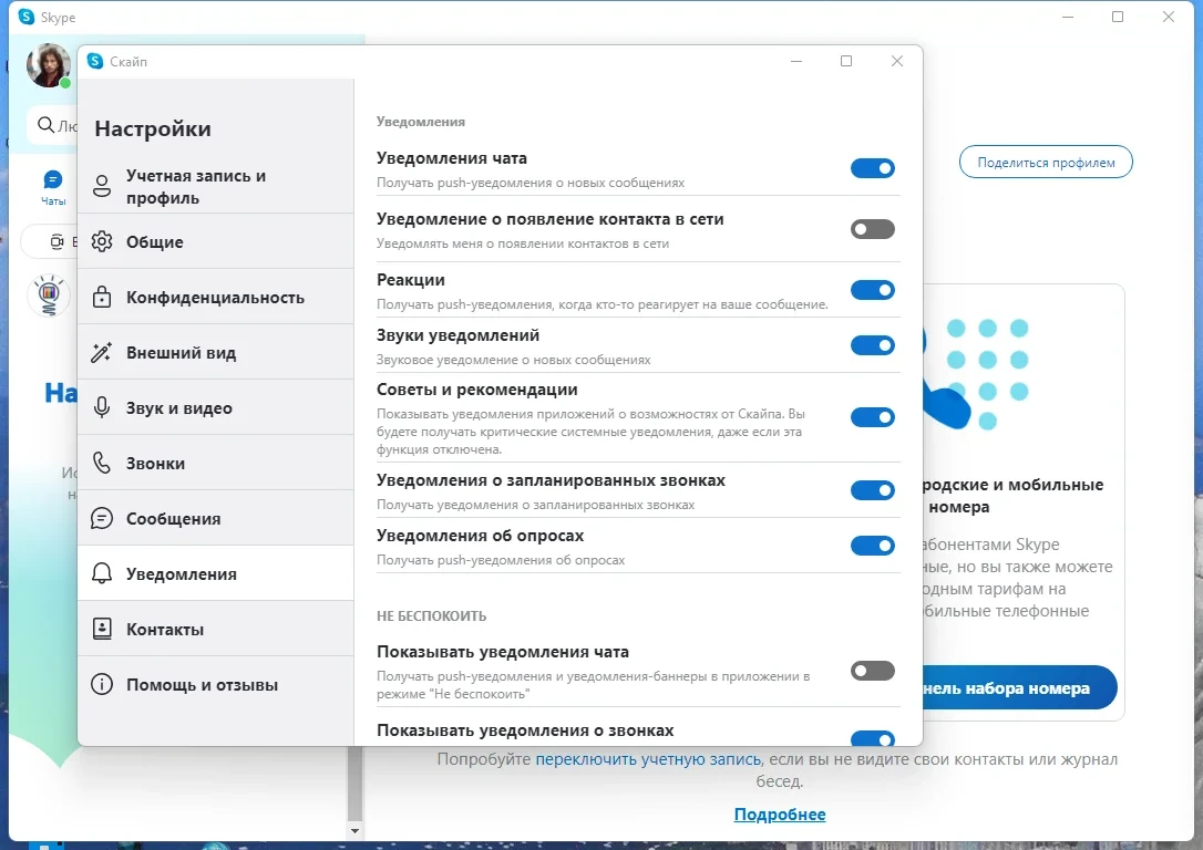 Скайп для Windows Skype 8.96.0.408 by elchupacabra — изображение 2