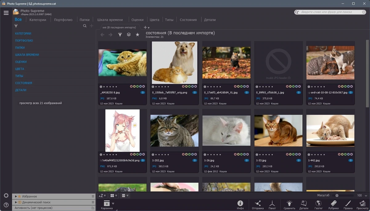 Сортировщик изображений - Photo Supreme 2023.2.0.5087 (x64) RePack by elchupacabra — изображение 2