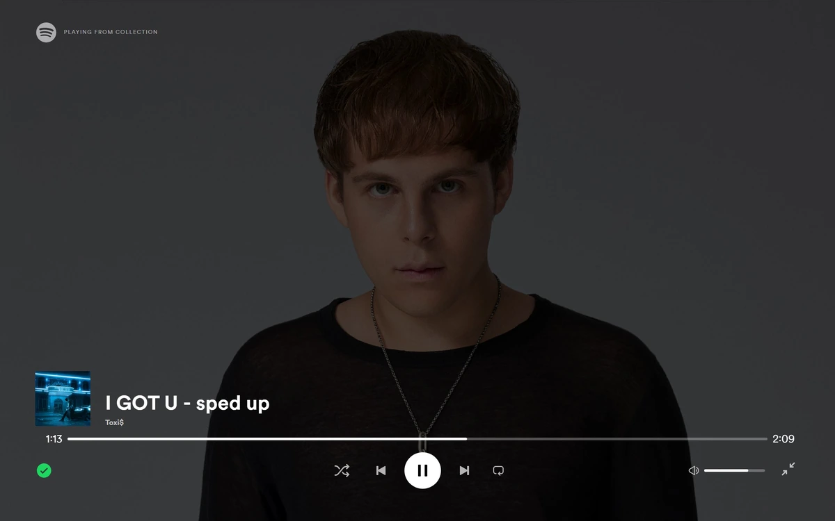 Онлайн аудиоплеер Spotify 1.2.59.515 by elchupacabra — изображение 2
