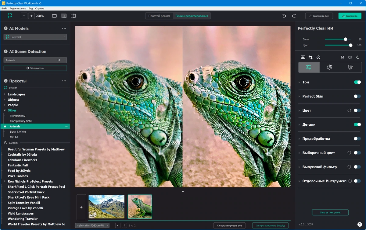 Автокоррекция фото Perfectly Clear WorkBench 5.0.1.3059 + AddonsPack — изображение 2