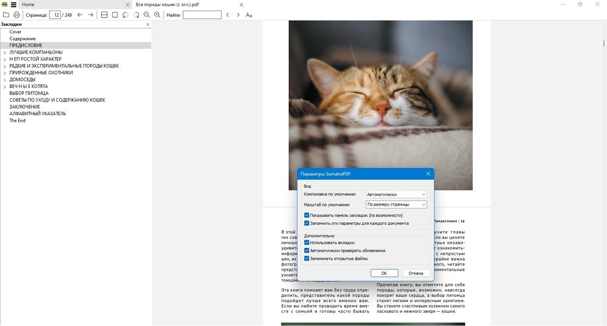 Sumatra PDF 3.6.16067 Prerelease + Portable — изображение 2