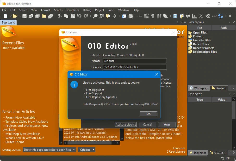 HEX редактор SweetScape 010 Editor 15.0.2 + Portable — изображение 2