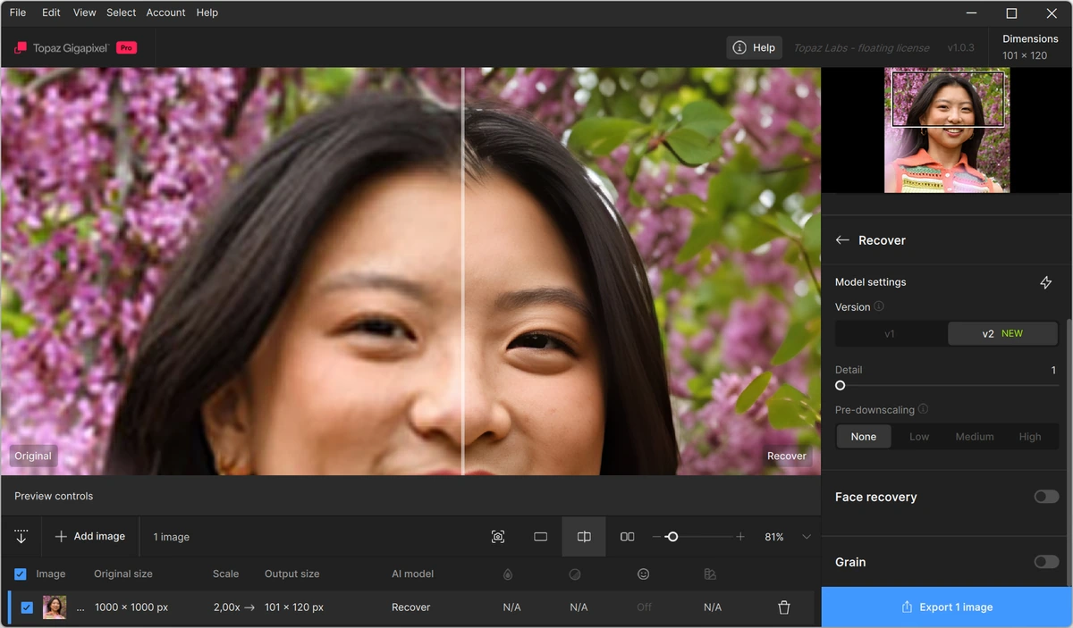 Topaz Gigapixel 1.0.3 — изображение 2
