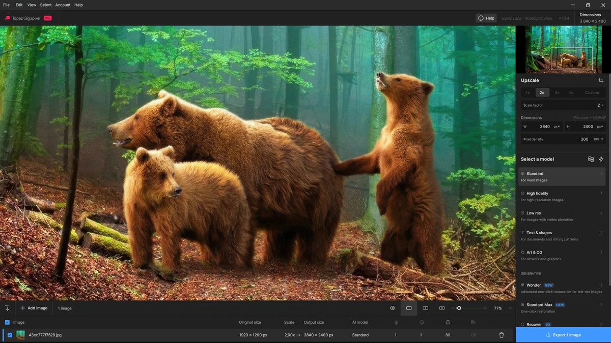 Topaz Gigapixel увеличение фото 1.0.4 by KpoJIuK — изображение 2