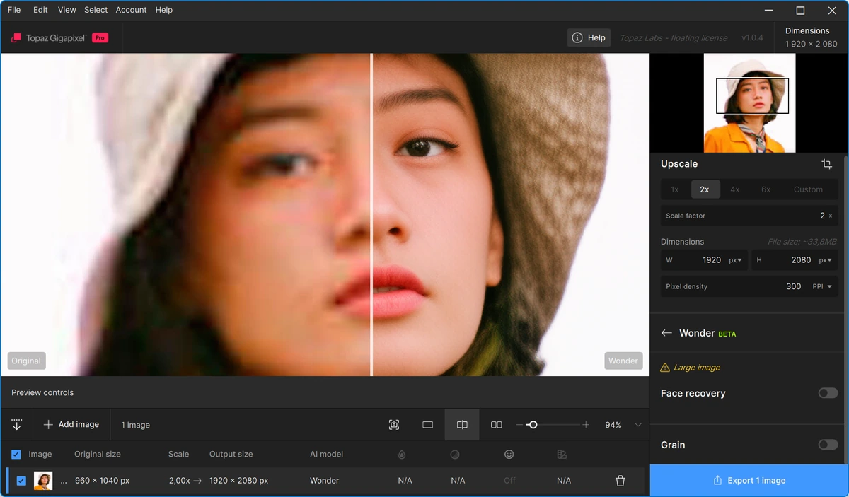 Topaz Gigapixel увеличение изображений 1.0.4 — изображение 2