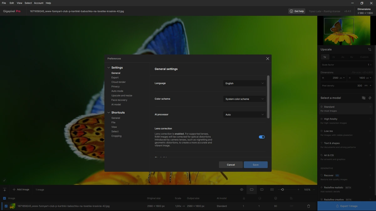 Topaz Gigapixel AI Pro 8.4.0 by KpoJIuK — изображение 2