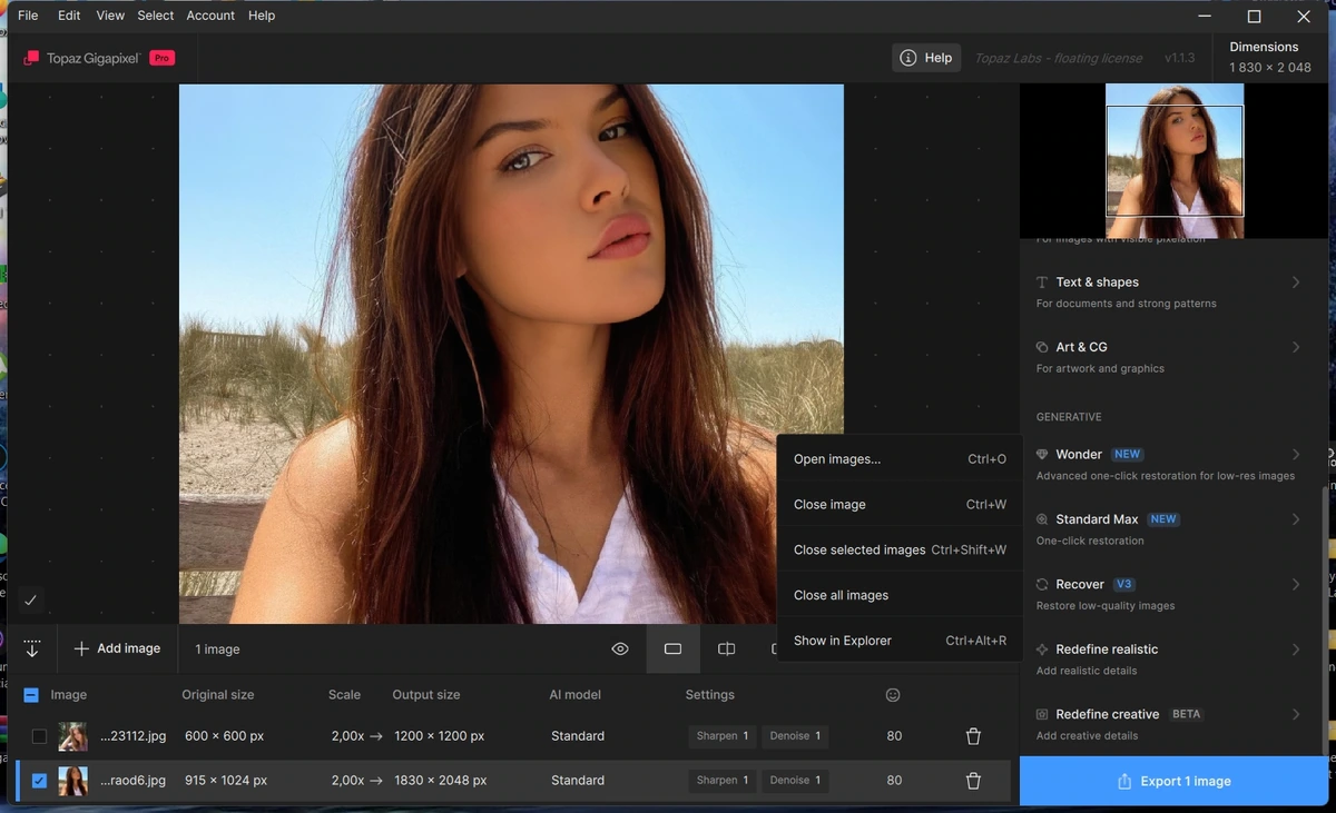 Topaz Gigapixel 1.1.3 by KpoJIuK — изображение 2