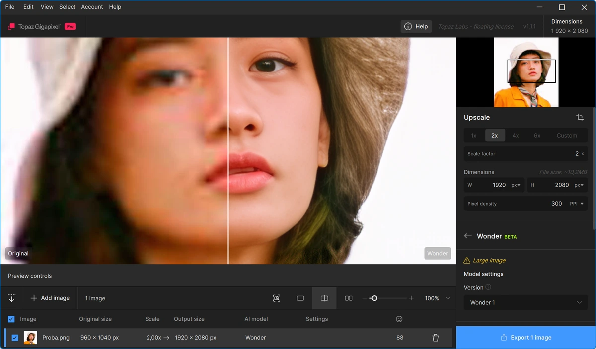 Topaz Gigapixel 1.1.1 — изображение 2