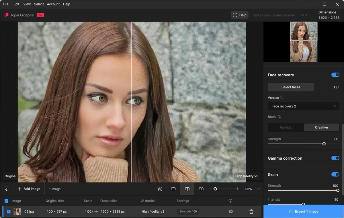 Topaz Gigapixel 1.3.0 by KpoJIuK — изображение 2