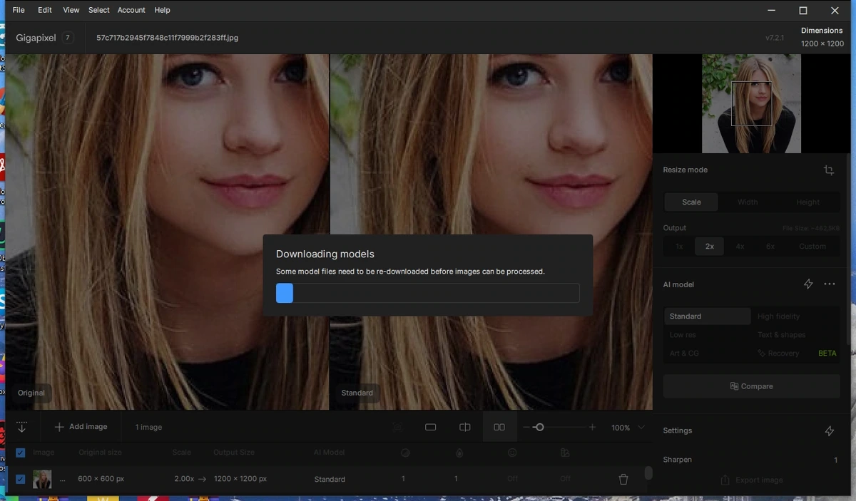 Topaz Gigapixel AI 7.2.1 Полная + Портативная версии by elchupacabra — изображение 2