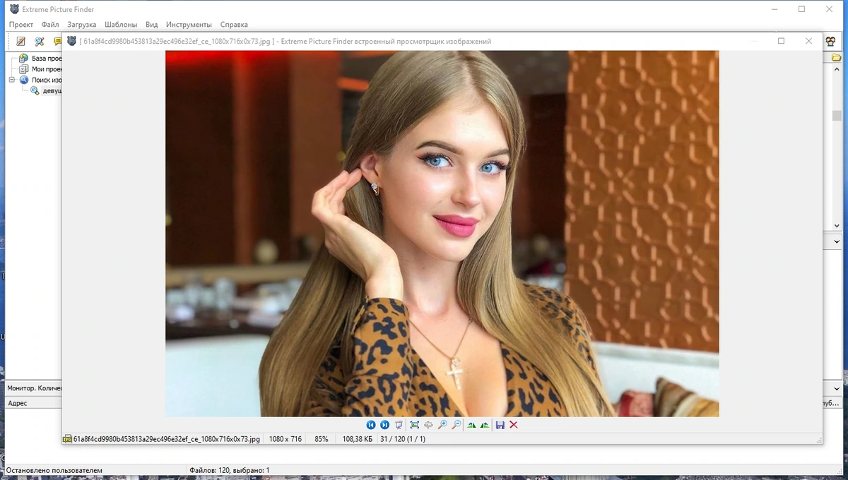 Автопоиск и загрузка медиафайлов - Extreme Picture Finder 3.65.11.0 RePack by TryRooM — изображение 2