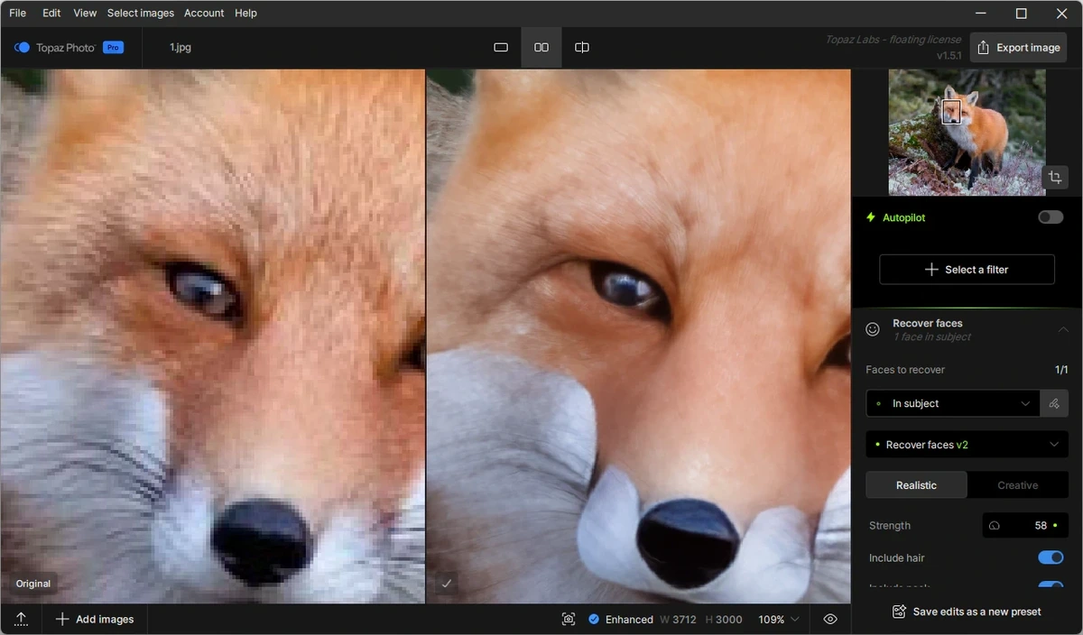 Topaz Photo 1.5.1 by KpoJIuK — изображение 2