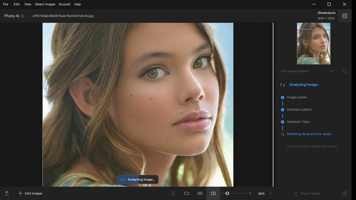 Topaz Photo AI 3.0.3 (x64) + All Models Portable by FC Portables — изображение 2